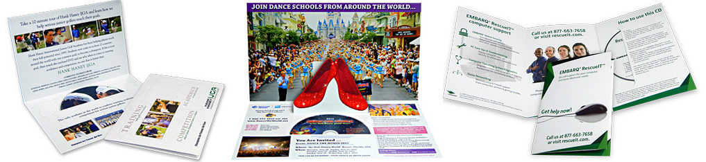 Mailer Options Bison Disc