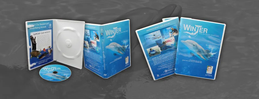 Discs In White DVD Case With Insert