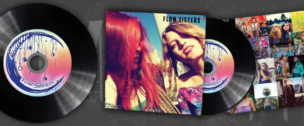 Vinyl CDs in Sleeves