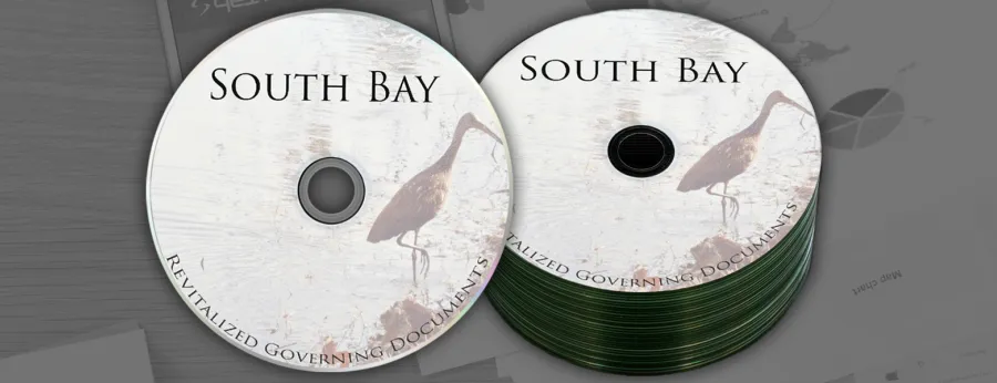 Pre-Burned Or Blank CDs and DVDs